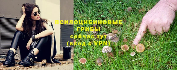 спиды Козельск