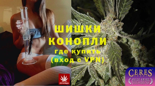 spice Костерёво