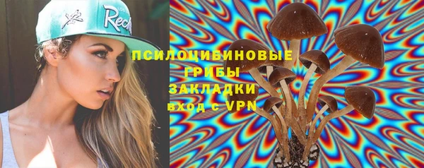 спиды Козельск