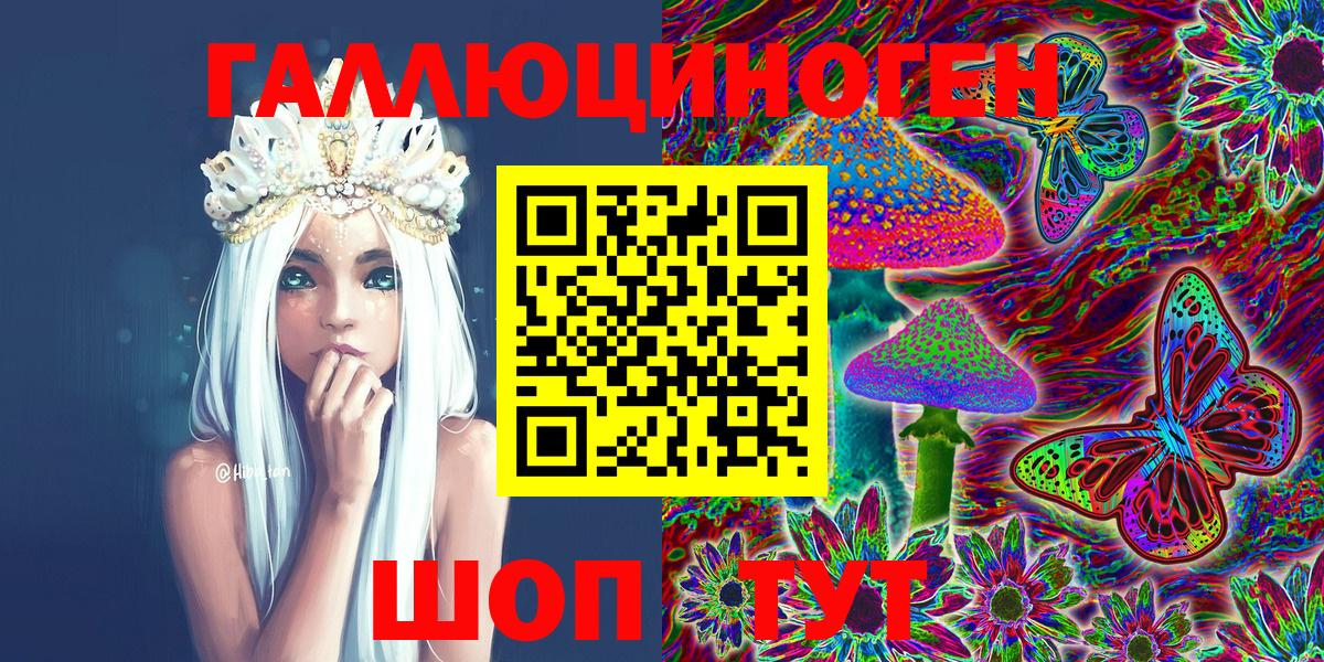 Галлюциногенные грибы Psilocybe Курск