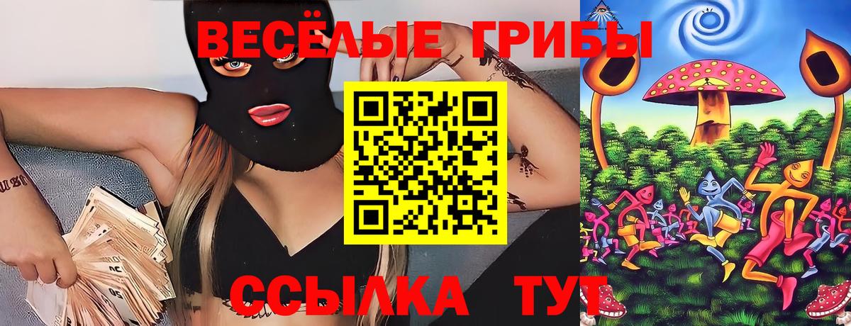 Галлюциногенные грибы мицелий Курск