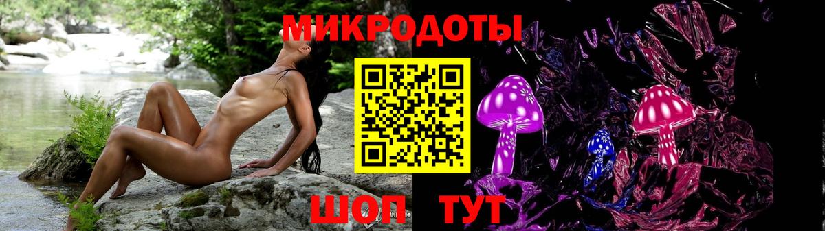 где купить наркотик  Вход с VPN  Галлюциногенные грибы Psilocybe  Курск  Галлюциногенные грибы Psilocybine cubensis 